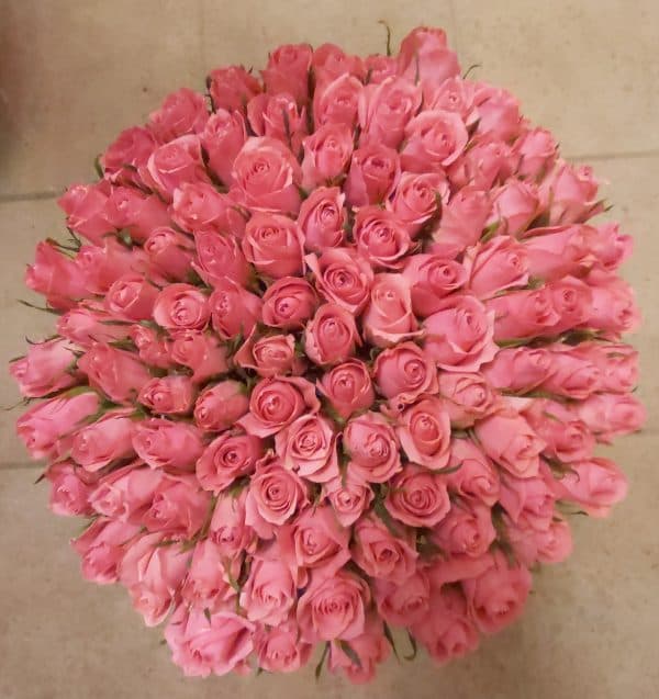 Knallend roze