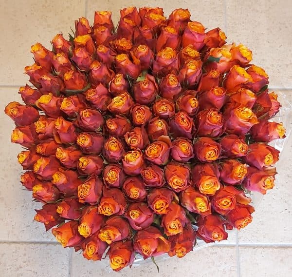 Warm roodoranje