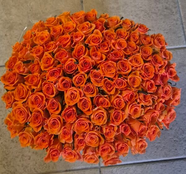 Spetterend oranje